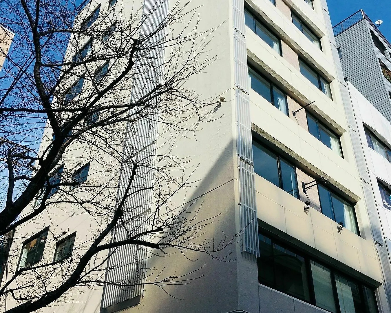 Himalaya Cloud Hotel Tokyo
